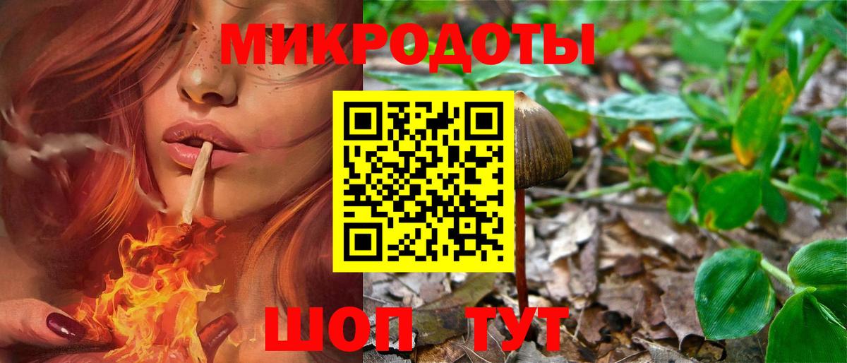 Донецк  Псилоцибиновые грибы GOLDEN TEACHER  Вход с VPN 