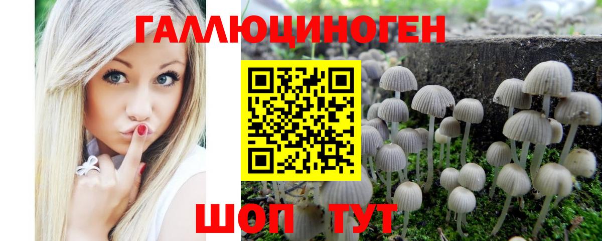 Галлюциногенные грибы Psilocybe Донецк